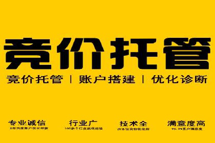 深度解析：百度推广费用与ROI的关联案例